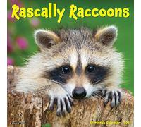 Rascally Raccoons 2026 Wall Calendar