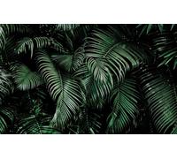 Rasch Carta da parati 363067 - Carta da parati fotografica su tessuto non tessuto con foglie di palma in verde e nero della collezione Magicwalls - 3,00 m x 4,77 m (lunghezza x larghezza)