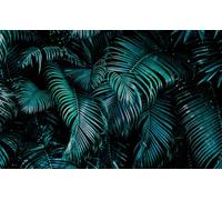 Rasch Carta da parati 363074 - Carta da parati fotografica su tessuto non tessuto con foglie di palma in petrolio e nero della collezione Magicwalls - 3,00 m x 4,77 m (lunghezza x larghezza)