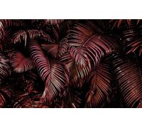 Rasch Carta da parati 363081 - Carta da parati fotografica su tessuto non tessuto con foglie di palma in rosa e nero della collezione Magicwalls - 3,00 m x 4,77 m (lunghezza x larghezza)