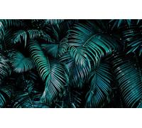 Rasch Carta da parati 363111 - Carta da parati fotografica su tessuto non tessuto con foglie di palma in petrolio e nero della collezione Magicwalls - 2,65 m x 4,24 m (lunghezza x larghezza)