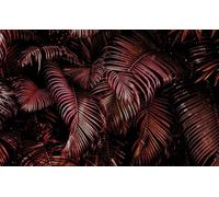 Rasch Carta da parati 363128 - Carta da parati fotografica su tessuto non tessuto con foglie di palma in rosa e nero della collezione Magicwalls - 2,65 m x 4,24 m (lunghezza x larghezza)