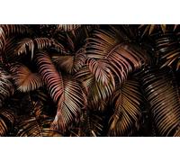 Rasch Carta da parati 363135 - Carta da parati fotografica su tessuto non tessuto con foglie di palma in rosso e nero della collezione Magicwalls - 2,65 m x 4,24 m (lunghezza x larghezza)