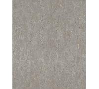 Rasch Carta da parati 538335 - Carta da parati in tessuto non tessuto con effetto sughero, design industriale della collezione Curiosity, 10,05 m x 0,53 m (lunghezza x larghezza)