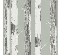 Rasch home style 285413 - Carta da parati in carta verde con tronchi di betulla, foresta di betulla, 10,05 m x 0,53 m
