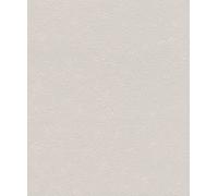 Rasch Tapeten 770339 - Carta da parati grigia in tessuto non tessuto con struttura fine, effetto intonaco, struttura in gesso, carta da parati tinta unita