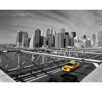 Rasch Wallpaper 893052 - Carta da parati fotografica in tessuto non tessuto, con skyline di New York, 2,65 m x 3,71 m (L x P)