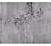Rasch WTD 439908 - Carta da parati fotografica in tessuto non tessuto, effetto cemento, effetto industriale alla moda, 2,60 m x 3,18 m (L x P), colore: Grigio