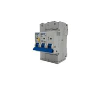 RASMACOR | Protezione combinata sovratensioni Transiente + Permanente 2P 40A | 230 V AC 50 Hz | 2P 40A Tipo 2 Monofase 10KA | Precablato Scaricatore di sovratensione 220v |