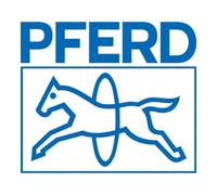 PFERD Raspa per legno PF 1552 250 H2 Quantità:1