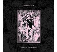 Raspberry Bulbs Before the Age of Mirrors (Vinyl LP) 12" Album