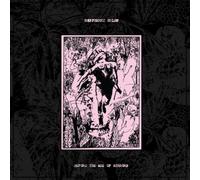 Raspberry Bulbs Before the Age of Mirrors (Vinyl LP) 12" Album