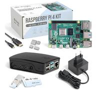 Raspberry Pi 4 2 GB Starter Kit | 64 GB Edition | Alimentatore Ufficiale 15 W | Cassa Ufficiale Nero | Cavo Micro HDMI 4k | Set dissipatore di calore