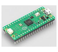 RASPBERRY PI PICO H Computer a scheda singola Raspberry Pi Pico Cortex M0+ RP...