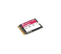Raspberry Pi SSD 256 Go