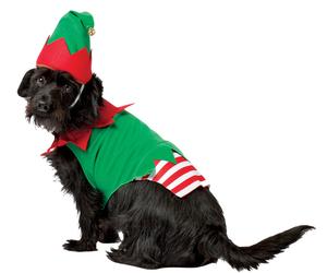 Rasta Imposta Babbo Natale Helper Cappello one piece Elfo Cane Animali Costume