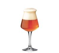 Rastal - conf. 6 Calici Degustazione BIRRA - Mod. TEKU 3.0 - 42,5 cl (14,8 oz)