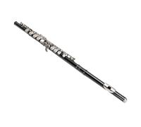 RASTKY 16 Principianti, Studenti e Professionisti del Flauto Keysenle C - Kit Completo di Strumenti con Custodia per il Trasporto, Accessori e Panno per la Pulizia - L Lezioni di Musica, Orchestre e