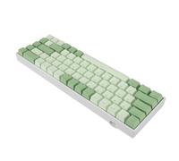 RASTKY 68 Tastiera da 60% di Tastiera Meccanica con Retroilluminazione RGB e Blu-USB C Cablato per Forno