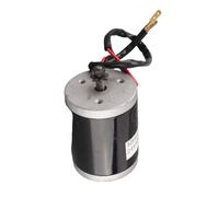 RASTKY Accessorio per Bici Elettrica per Puleggia per Cinghia Premium 24V 100W con Motore a Spazzola Piccola per Mini Scooter in Alluminio