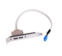 RASTKY Adattatore Pannello Posteriore della Scheda Madre USB 2.0 a 2 Porte Trasmissione Dati Ad Alta velocità Adattatore Host a 9 Pin per Case del PC Cavo di Espansione USB della Scheda Madre da