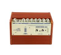 RASTKY Amplificatore per Chitarra Portatile Amplificatore Ricaricabile da 25 W con Ingresso per Microfono per Esercitazioni di Modifica Vocale Nero (RASTKYy3e1sgm8k9-I7100)