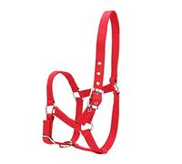 RASTKY Briglia di Controllo per Cavezza Rossa a Doppio Strato da 6 Mm, Spessa, Lunghezza Regolabile, Perfetta per Gli Appassionati di Equitazione, Materiale PP