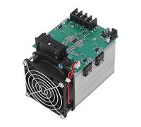 RASTKY Display a Tubo Digitale Ad Alta Temperatura Capacità della Batteria Tester di Corrente Modulo di Monitoraggio Elettronico di Scarico del Carico 12V 250W per Adattatori di Alimentazione