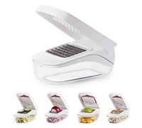 RASTKY Efficiente Tritatutto per Cipolle, Patate, Carote, Trituratore di Frutta Facile da Pulire, 20 X 10 X 12,5 cm. (Come mostrato)