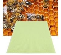 RASTKY Foglio di per Apicoltura Fondotinta in Cera D'api, Telai a Nido D'ape in Plastica Verde Inodore, Schiusa Accelerata, Forniture per Alveari Resistenti All'usura, 10 Pezzi, Ideale per i