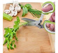 RASTKY Forbici per Erbe Aromatiche Gadget da Taglierina Tritatutto per Chef Professionisti Lame Affilate Sicure per Uso Ristorante in Acciaio Inossidabile per Tagliare Cipolla Verde, Verdure, Carne