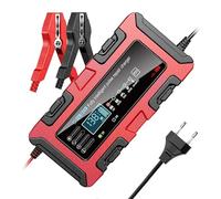 RASTKY Mantenitore e Desolfatore per Batteria per Auto 12V 24V, Desolfatore Automatico per Batteria Intelligente con Display LCD per il Settore Automobilistico