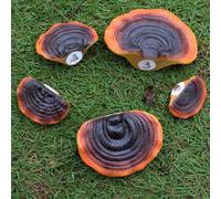 RASTKY Mini Mensole da Parete a Forma di Fungo in Resina, Set di Decorazioni Realistiche per il Cortile del Cottage All'aperto, Facile da Installare per gli Appassionati di Giardino