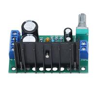 RASTKY Modulo Amplificatore Scheda di Amplificazione di Potenza Mono Compatta per Dispositivi Audio con Potenziometro, Scheda Altoparlante per Home Theater 60 X 35 X 40 Mm