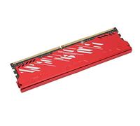 RASTKY Modulo di Memoria DDR4 da 3200 MHz con Custodia in Metallo RAM Desktop per Giochi, Raffreddamento Rapido, 1 Modulo di Memoria Desktop (16GB)