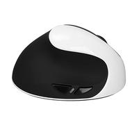 RASTKY Mouse Verticale della Mano Sinistra, Utenti a Sinistra del Mouse Wireless Ricaricabili Ergonomici, 2,4 G con Adattatore USB e Impostazioni di 3 DPI PC (#1)