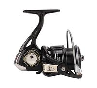 RASTKY Mulinello da Pesca Spinning Mulinello in Metallo in Acciaio Inossidabile 5.2:1 per la Pesca Alla Carpa Tazza di Grande capacità (COCO2500)