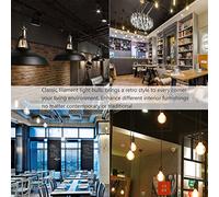 RASTKY Portalampada E27/E26 di Alta qualità con Lampadina a Filamento Classica, Migliora lo Stile retrò in Qualsiasi Spazio Abitativo, Adatto per 90-260 V, Base Universale per Vari Apparecchi di