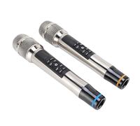 RASTKY Set Microfono Wireless Dinamico in Metallo per Home Theater, Microfono Riverbero Professionale per Canto Karaoke, Set Cordless Portatile per Eventi All'aperto