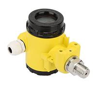 RASTKY Trasmettitore di Pressione a Prova di Esplosione Alto Alto Sensore di Pressione Digitale LCD 4-20 MA Misurazione Liquida o Gas (Intervallo 0~0.6MPA)
