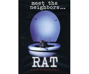 Rat: Meet the Neighbors