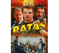 Ratas De Alcantarilla