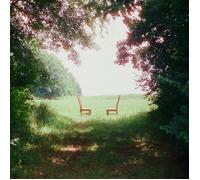 Ratboys Singin' to an Empty Chair (Vinyl LP)