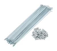 RATCHROLL 1 Set Di Raggi Della Bicicletta Universale 12G Lunghezza 245Mm Raggi Della Ruota Della Bicicletta Capezzolo In Acciaio Al Carbonio Tono Argento Zincato
