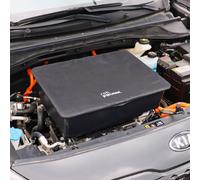 rati Frunk Adatto per Hyundai Kona Electric 2018-2023 / Kia e-NIRO 2018-2021 / Kia NIRO EV 2018-2021 / Kia e-Soul 2020- / Kia Soul EV 2020- | Bagagliaio Anteriore con con Cappuccio di Protezione