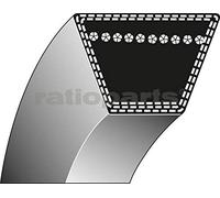 RATIOPARTS 8-768 - Cinghia trapezoidale tipo 1-15,8 x 1753