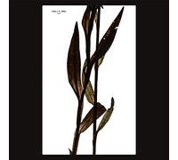 Maja S.K. Ratkje Sult (Vinyl LP) 12" Album
