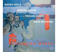 Ratko Zjaca Touching Minds (Vinyl LP) 12" Album