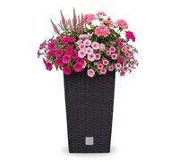 Rato Square Vaso da fiori in rattan, 26,6 l, per interni ed esterni, con scatola interna, resistente alle intemperie