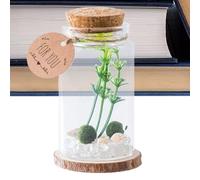 Ratpzou Bottigliette di con Tappo in Sughero, Contenitore In, Decorazione Stilosa Per Casa Scrivania Regalo Famiglia Amici Pensiero Desiderio